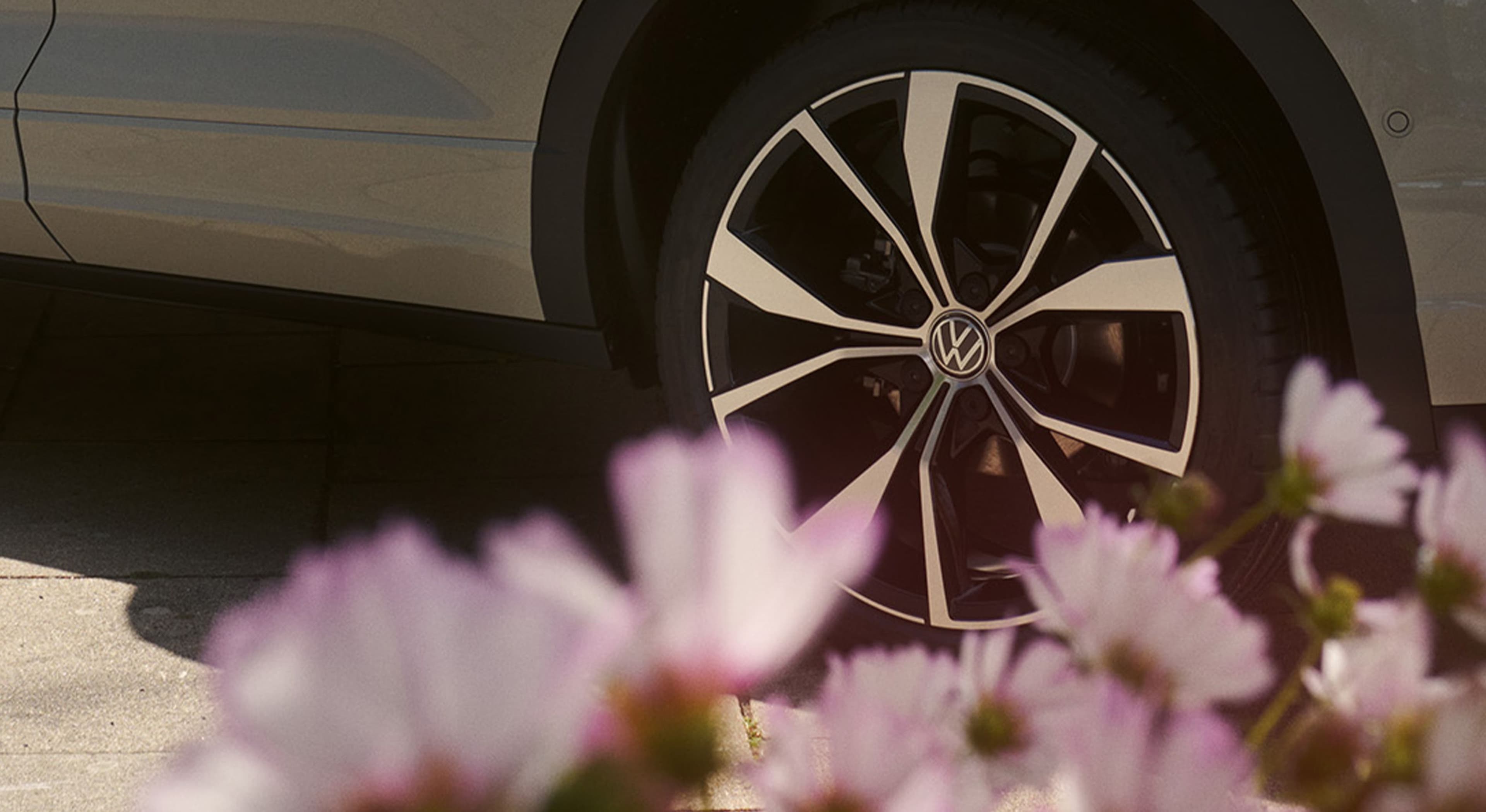 bhg Header V2.jpg