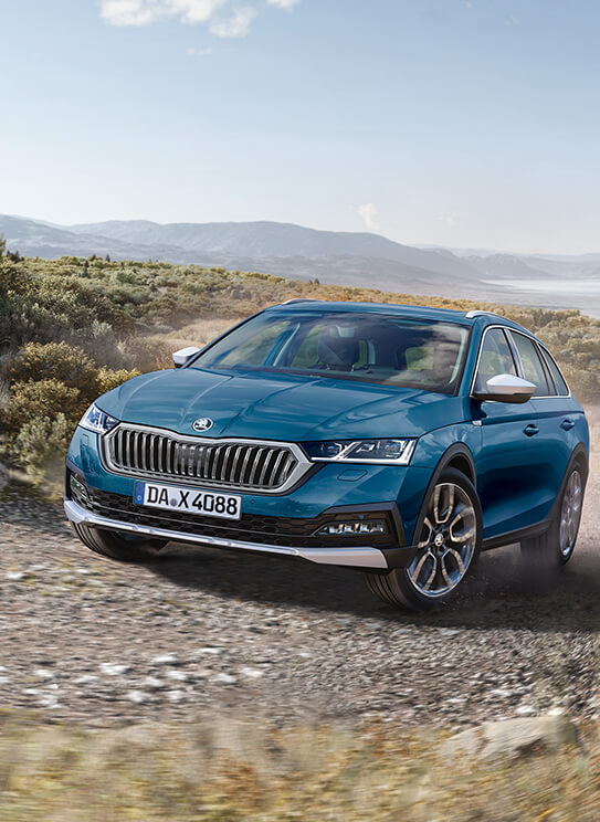 skoda 2.jpg