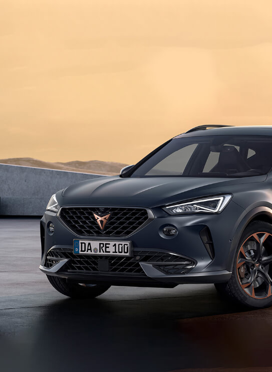 cupra 2.jpg