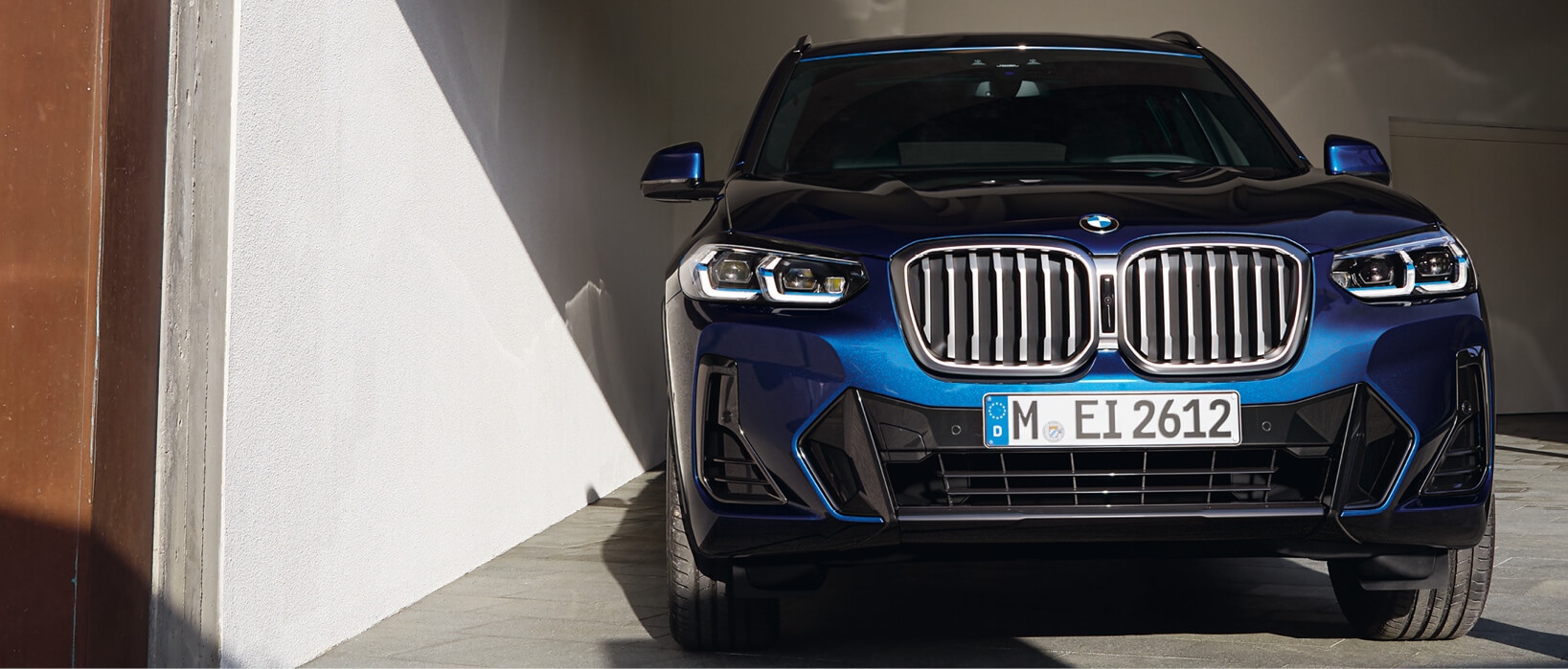 THE X3